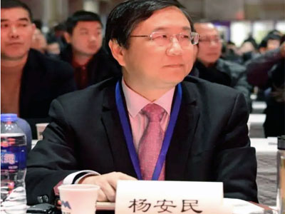 风生水起！杨安民董事长谈上海山美股份有限公司经营之道 //高端访谈